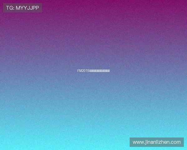 FM2015德甲球队详细介绍及阵容分析